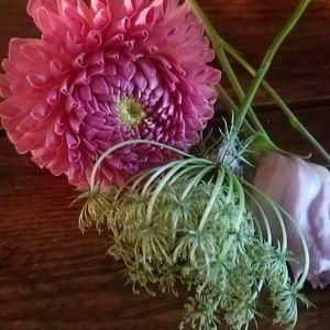 Meet your Posher, Dana